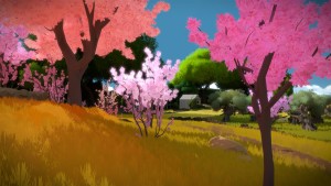 The Witness Review