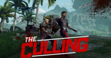 The Culling Beginner's Guide