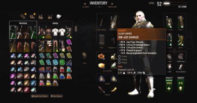 The Witcher 3 Blood and Wine Gesheft Sword