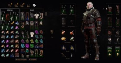 The Witcher 3 Blood and Wine Grandmaster Wolf Gear