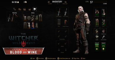 The Witcher 3 Blood and Wine Manticore Armor